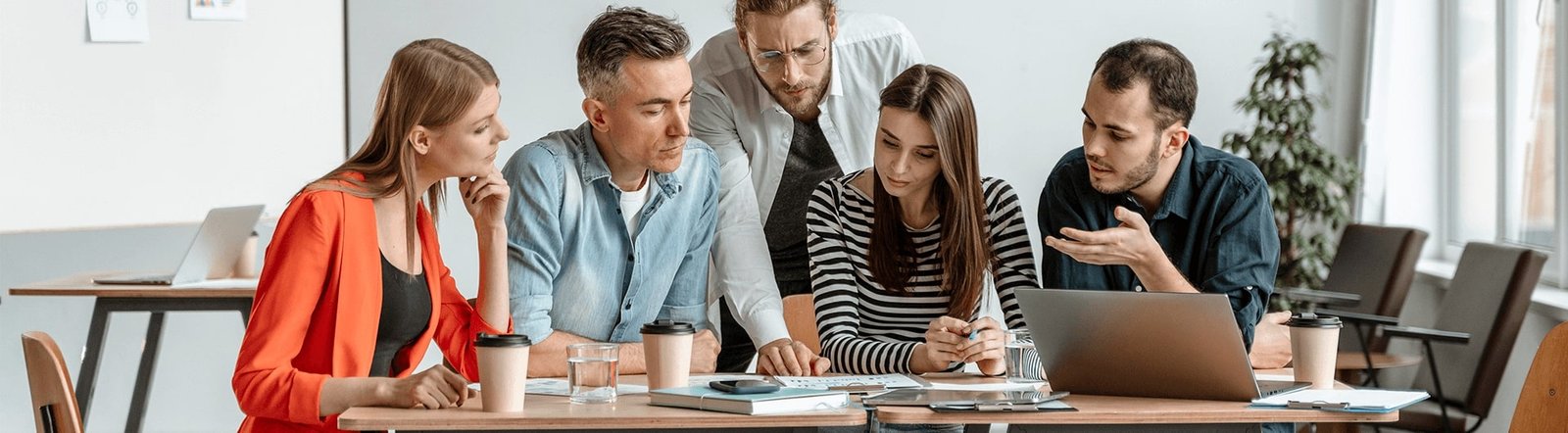 public.instructors_background